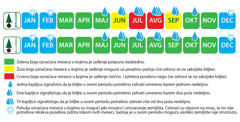 Kalendar sadnje i nege biljaka